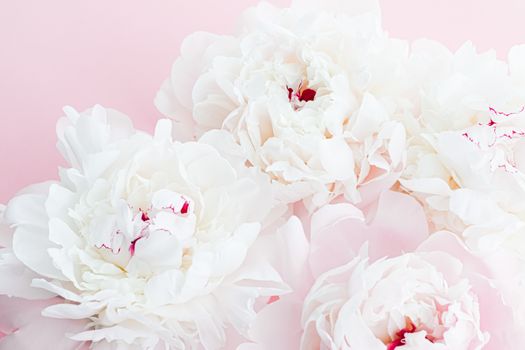 White peony flowers as floral art on pink background, wedding flatlay and luxury branding design