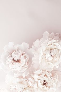 Pastel peony flowers in bloom as floral art background, wedding decor and luxury branding design