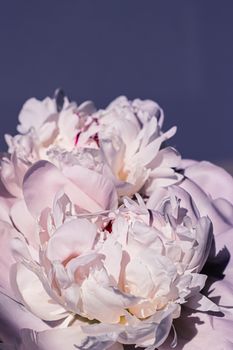 Peony flowers as luxury floral art background, wedding decor and event branding design