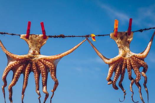 Octopus drying in the sun, Crete, Greece, Europe. Octopus drying in Crete, Greece. An octopus drying on a rope outside a tavern in Crete, Greece. Octopus is a very popular dish in Greece. 