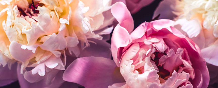 Pink peony flowers as floral art background, botanical flatlay and luxury branding design