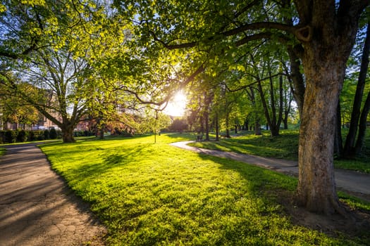 Spring view in Letna Park, Prague, Czech Republic. Spring in Prague (Praha), beautiful Letna park (Letenske sady) in sunlight, sunny landscape, popular tourist destination, Prague, Czech Republic