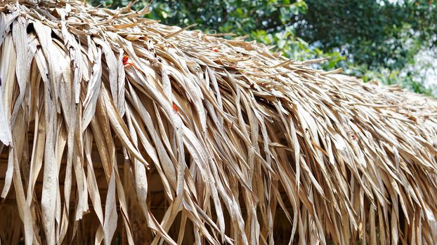 Thatched roof made of hay or straw. Hay or straw rooftop view