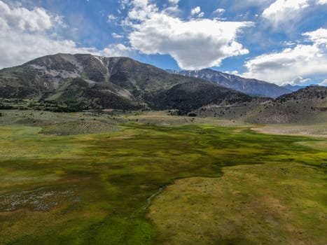 Aerial view of green land and small curve river with mountain in the background in Aspen Springs, Mono County California, USA