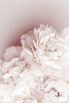 Pastel peony flowers in bloom as floral art background, wedding decor and luxury branding design