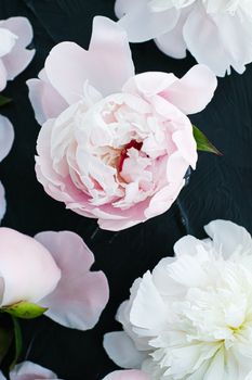 Blooming peony flowers as floral art background, botanical flatlay and luxury branding design