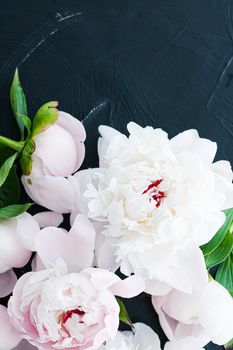 Blooming peony flowers as floral art background, botanical flatlay and luxury branding design