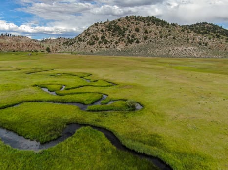 Aerial view of green land and small curve river with mountain in the background in Aspen Springs, Mono County California, USA