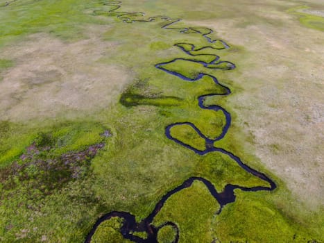 Aerial view of green land and small curve river in Aspen Springs, Mono County California, USA