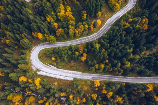 Curved bending road in the forest. Aerial image of a road. Forrest pattern. Scenic curvy road seen from a drone in autumn. Aerial top down view of zig zag winding mountain road, drone shot.