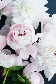 Blooming peony flowers as floral art background, botanical flatlay and luxury branding design