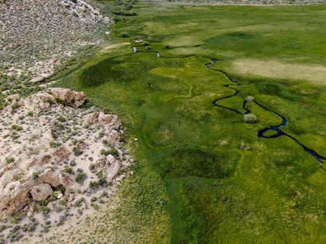 Aerial view of green land and small curve river in Aspen Springs, Mono County California, USA