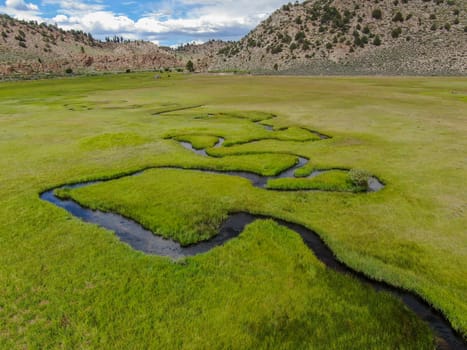 Aerial view of green land and small curve river with mountain in the background in Aspen Springs, Mono County California, USA