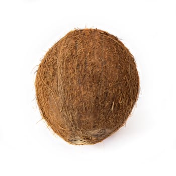 Coconut isolated on white background. Copy space