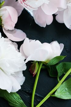 Blooming peony flowers as floral art background, botanical flatlay and luxury branding design