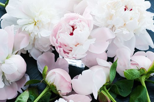 Blooming peony flowers as floral art background, botanical flatlay and luxury branding design