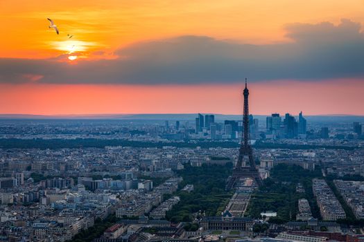 View of Paris with Eiffel Tower from Montparnasse building. Eiffel tower view with flying birds from Montparnasse at sunset, view of the Eiffel Tower and La Defense district in Paris, France.