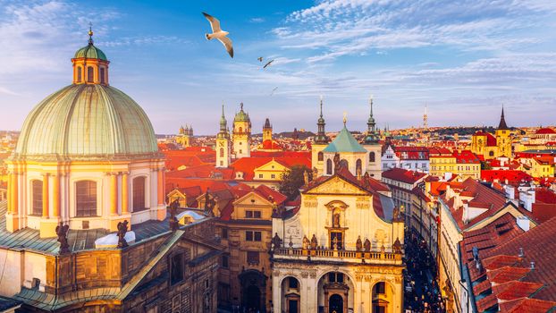 Aerial panorama view with flying birds of the Old Town in Prague, Czech Republic. Red roof tiles panorama of Prague old town.  Prague Old Town Square houses with traditional red roofs. Czechia.