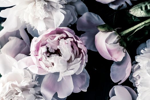 Pastel peony flowers as floral art background, botanical flatlay and luxury branding design