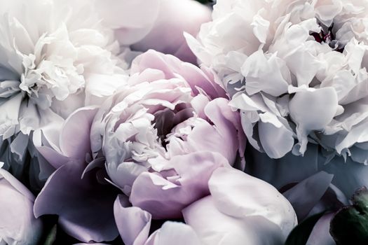 Pastel peony flowers as floral art background, botanical flatlay and luxury branding design