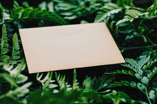 Blank envelope and green leaves in nature, paper card as background, correspondence and newsletter concept