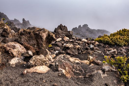 Haleakala Volcano, Maui, Hawaii, USA. - January 13, 2020: Brown, and black rocks and yellowish ground vegetation at edge of crater. Fog ovehangs.