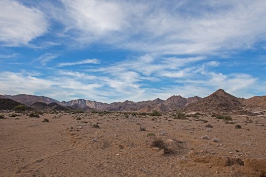 The Richtersveld National Park is South Africa's only Mountain desert park. It is now co-managed with AiAis National Park in Namibia to form a Trans Frontier Park.