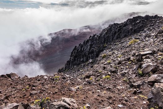 Haleakala Volcano, Maui, Hawaii, USA. - January 13, 2020: Whtie fog rises out of crater. Brown, and black rocks and yellowish ground vegetation at edge of crater. 