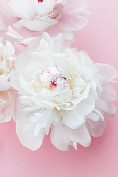 White peony flowers as floral art on pink background, wedding flatlay and luxury branding design