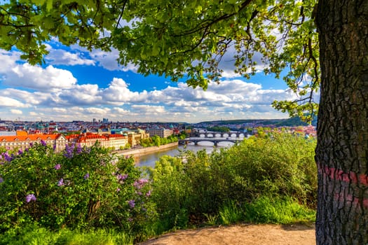 Scenic view of the Old Town pier architecture and Charles Bridge over Vltava river in Prague, Czech Republic. Prague iconic Charles Bridge (Karluv Most) and Old Town Bridge Tower at sunset, Czechia.