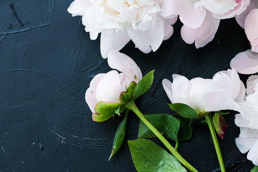 Blooming peony flowers as floral art background, botanical flatlay and luxury branding design