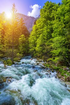 Cold mountain stream coming from Savica waterfall, river Sava near lake Bohinj, Slovenian Alps, Slovenia. The Sava Bohinjka is a headwater of the Sava River in northwestern Slovenia.