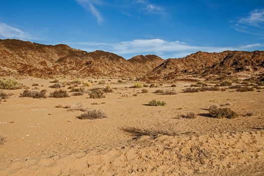 The Richtersveld National Park is South Africa's only Mountain desert park. It is now co-managed with AiAis National Park in Namibia to form a Trans Frontier Park.