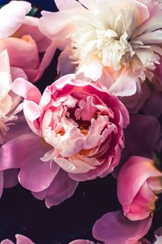 Pink peony flowers as floral art background, botanical flatlay and luxury branding design