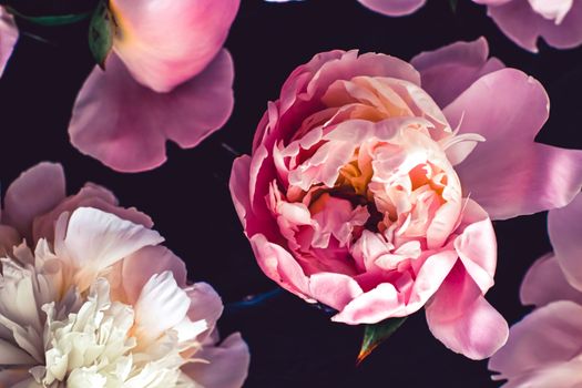 Pink peony flowers as floral art background, botanical flatlay and luxury branding design