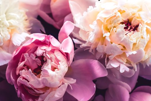 Pink peony flowers as floral art background, botanical flatlay and luxury branding design