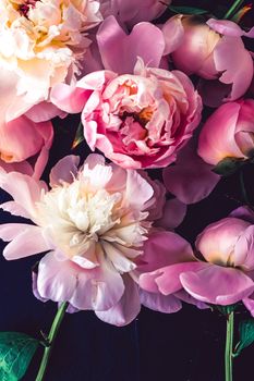 Pink peony flowers as floral art background, botanical flatlay and luxury branding design