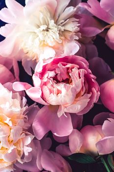 Pink peony flowers as floral art background, botanical flatlay and luxury branding design