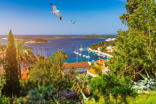 View at amazing archipelago in front of town Hvar, Croatia with seagull's flying over the city. Harbor of old Adriatic island town Hvar. Amazing Hvar city on Hvar island, Croatia. 