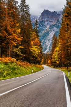 View of winding road. Asphalt roads in the Italian Alps in South Tyrol, during autumn season. Autumn scene with curved road and yellow larches from both sides in alp forest. Dolomite Alps. Italy