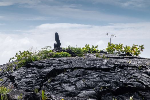 Kaimu Beach, Hawaii, USA. - January 14, 2020: Hardened black Lava field off Kilauea volcano eruption of 1990 with Hei Matau symbol on top.  Young green ferns under blue cloudscape