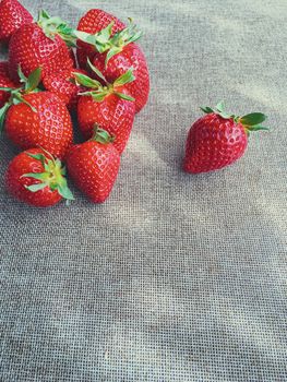 Organic strawberries on rustic linen background, fruit farming and agriculture