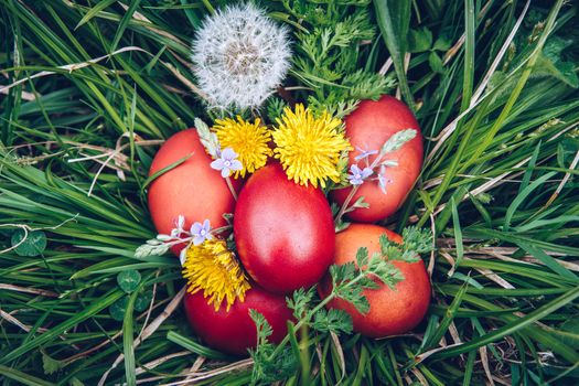 Red easter eggs on the grass with flowers and blowballs, naturally colored easter eggs with onion husks. Happy Easter, Christian religious holiday.