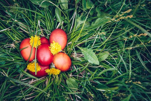 Red easter eggs on the grass with flowers and blowballs, naturally colored easter eggs with onion husks. Happy Easter, Christian religious holiday.