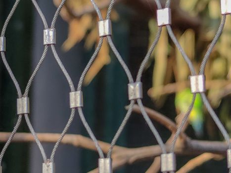 wonderful bird sitting in its cage