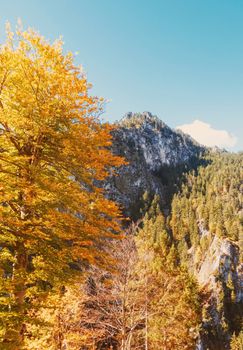 Beautiful nature of European Alps, landscape view of alpine mountains, lake and village in autumn season, travel and destination scenery