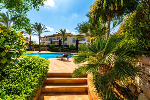 Swimming pool, sun-loungers and palm trees during a warm sunny day, paradise destination for vacations. Backyard swimming pool with garden full of palm trees and flowers. Backyard with swimming pool.
