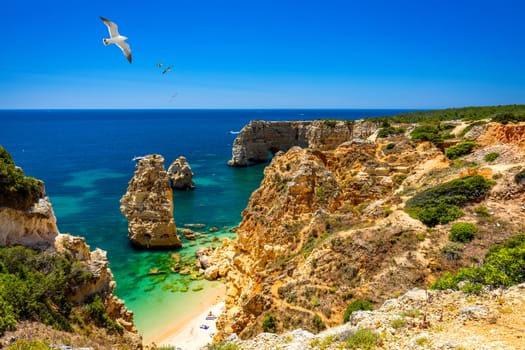 Praia da Marinha, beautiful beach Marinha in Algarve, Portugal. Navy Beach (Praia da Marinha) with flying seagulls over the beach, located on the Atlantic coast in Lagoa Municipality, Algarve.