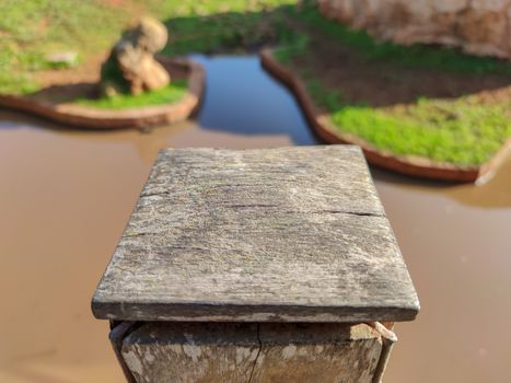 a beautiful peace of wood in front of the lake