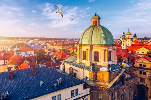 Aerial panorama view with flying birds of the Old Town in Prague, Czech Republic. Red roof tiles panorama of Prague old town.  Prague Old Town Square houses with traditional red roofs. Czechia.